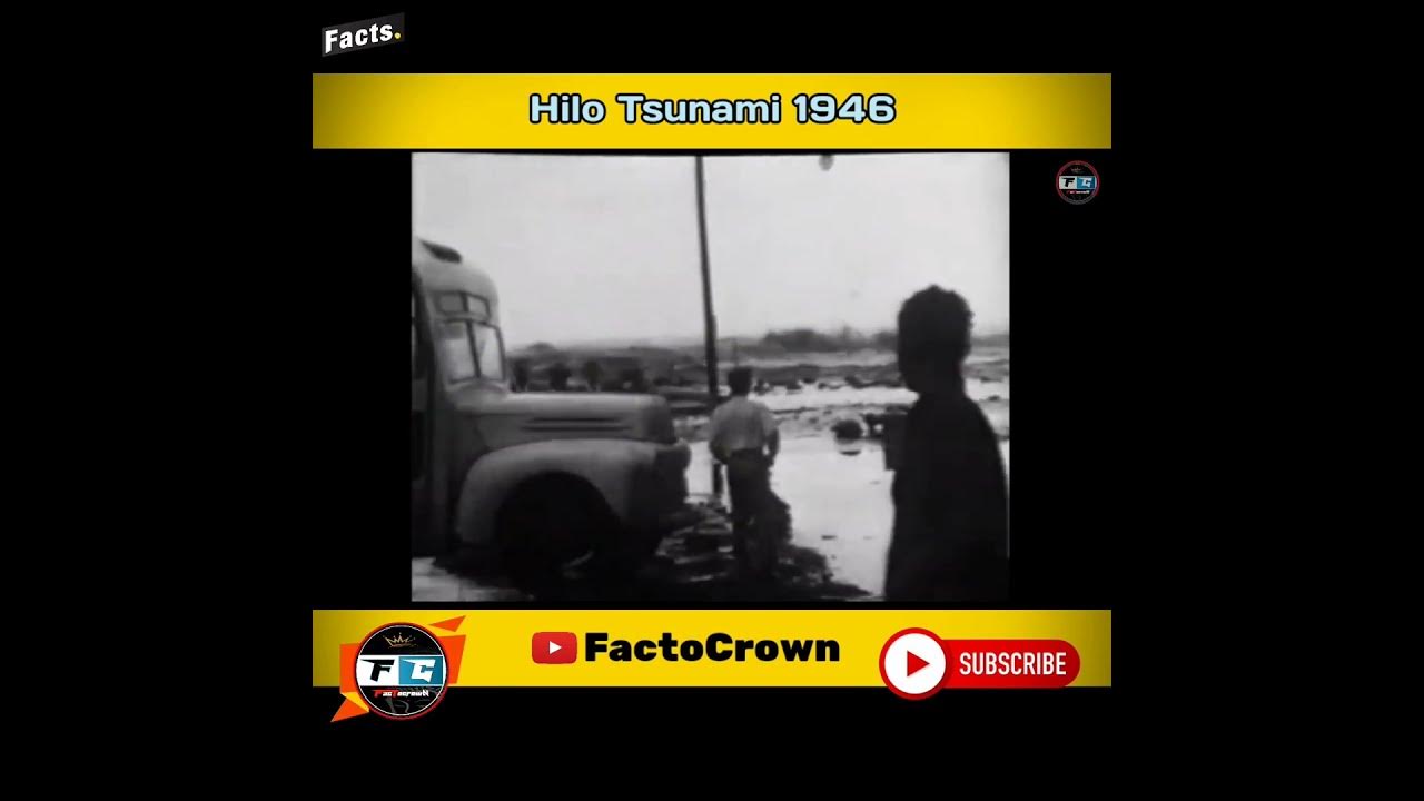 Hilo tsunami video