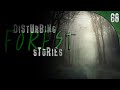 68 TRUE Forest Horror Stories
