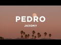 PEDRO - Jaxomy, Agatino Romero, Raffaella Carrà (TikTok Song) Lyrics