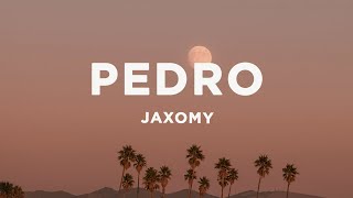 PEDRO - Jaxomy, Agatino Romero, Raffaella Carrà (TikTok Song) Lyrics