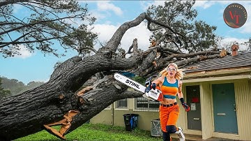 Dangerous Fastest Idiots Cutting Tree Fails Skill With Chainsaw | Tree Falling on Houses  😱