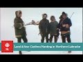 Land & Sea: Caribou hunting in northern Labrador