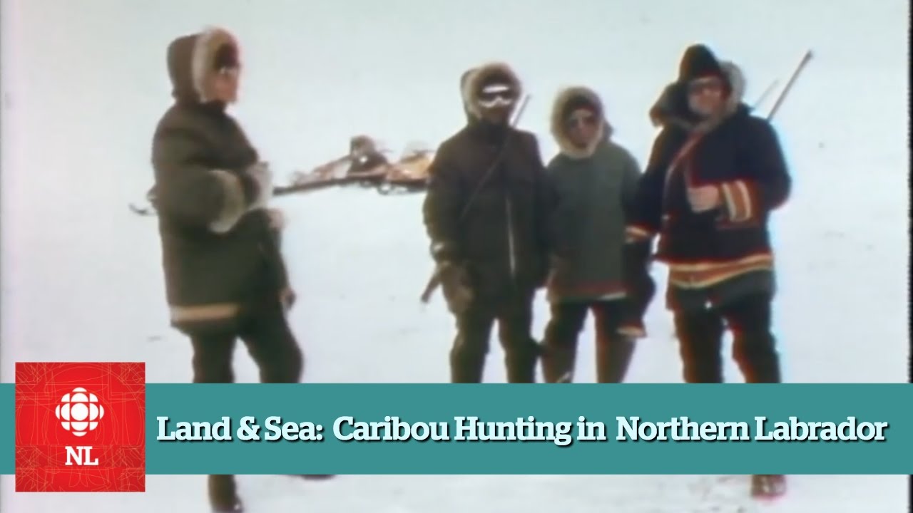 Land & Sea: Caribou hunting in northern Labrador