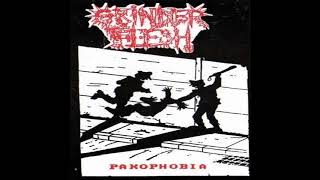 Download Lagu GRINDER FLESH - Pakophobia (1995) MP3