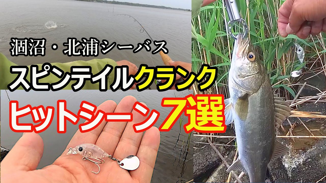 シーバス ハクパターンのスピンテイルクランク ヒットシーン7選 涸沼 北浦シーバス ハクパターン 21年4月 5月 Sea Bass Spin Tail Crank Youtube シーバス ハクパターンのスピンテイルクランク ヒットシーン7選 涸沼 北浦シーバス ハクパターン 21年4月 5月 Sea Bass Spin Tail Crank Youtube