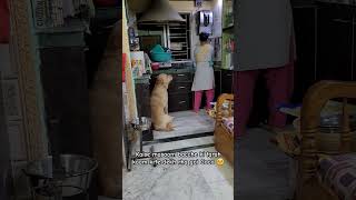 Kitna Pyaara Baccha Hai Coco