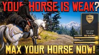 The ULTIMATE Horse Guide in RDR2 | Best Saddle, Bonding, Trinkets & Hidden Stat Upgrade