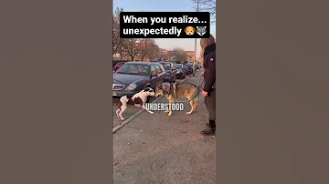 Wolves Have Infinite Aura 