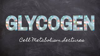 Making & Breaking Glycogen | Part 11 Metabolism Foundations | Nourishable Macronutrients Lecture 27
