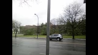 The Old Firestone Building #1