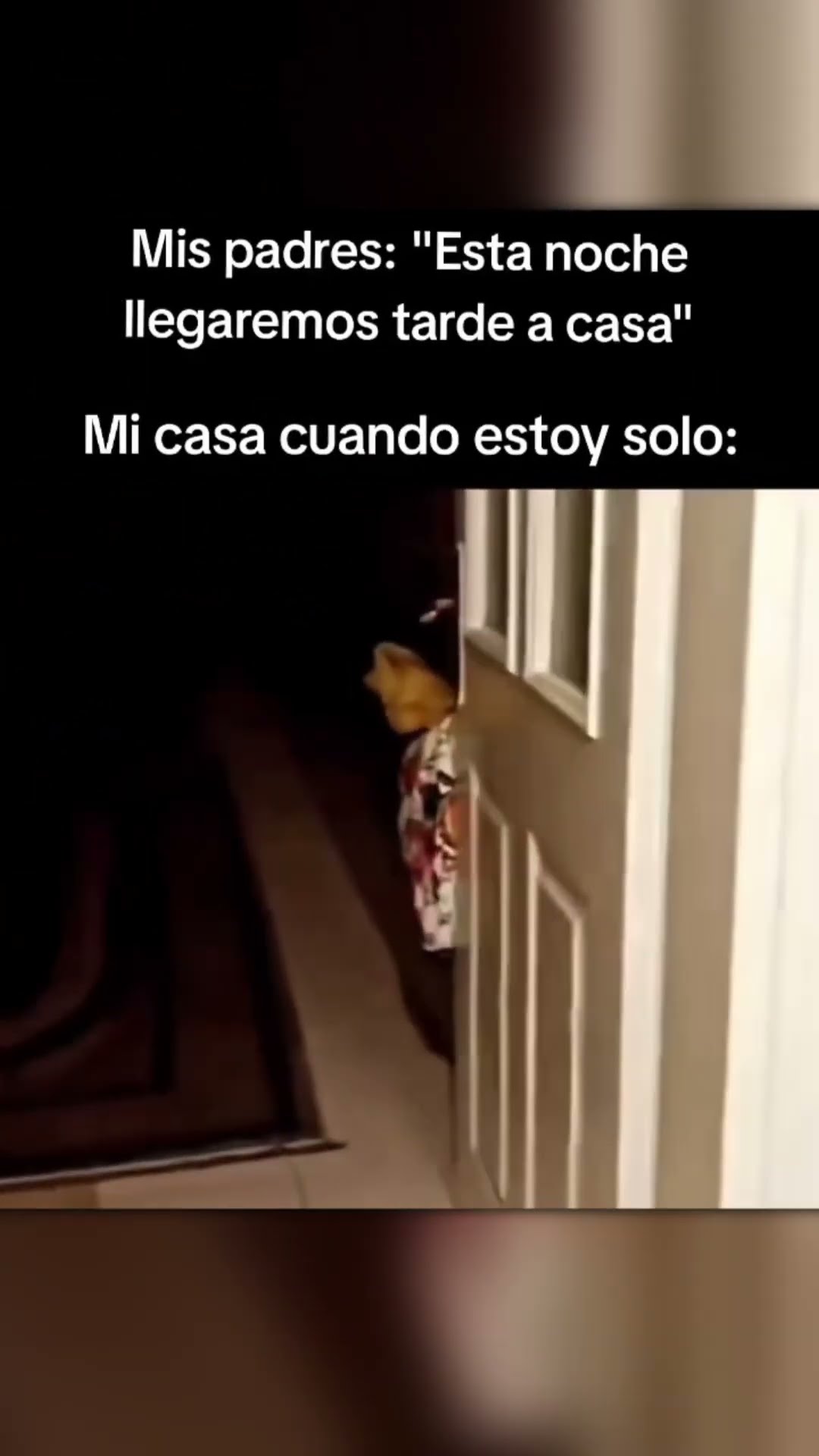 Increible ILUSIÓN terrorifica☠