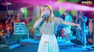 IMING IMING REVA DENATA - GG MUSIK HAPPY PARTY PEMUDA DEKEM  BERSATU LIVE NDEKEM TLOGOWUNGU