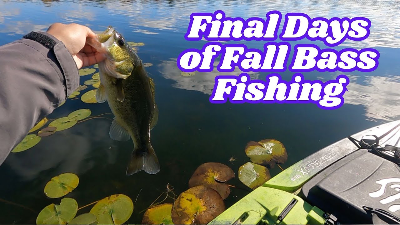 Final Days of Fall Bass Fishing 2025 | J-Hooked Fishing