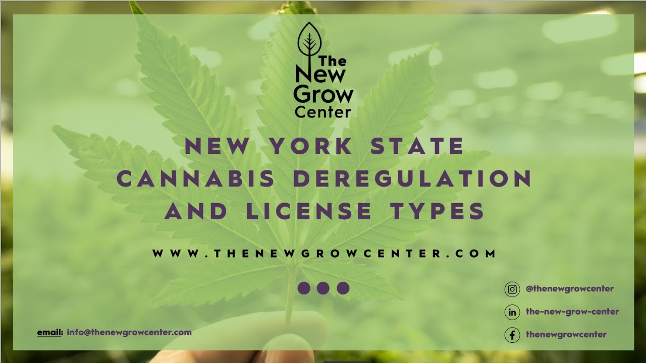 NYS Cannabis Deregulation & License Types Webinar | The New Grow Center
