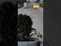 एक बाजार लगा मोहब्बत का #viral #shorts #sad #bike #post #sadreels #sadstatus #sadstory #sadsongs