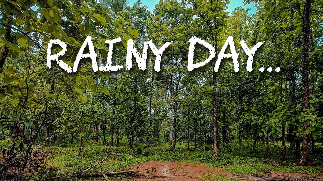 Rainy day | Moody weather