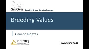 Program GenOvis: Apa itu indeks seleksi?