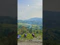 dekho kya ghanere unche unche # Nainital Utrakhand #nature #viralvideo #shorts