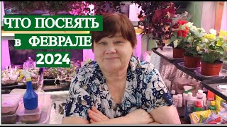 НЕ ЗАБУДЬТЕ ПОСЕЯТЬ ЭТО В ФЕВРАЛЕ! Что посеять в феврале 2024