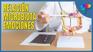 PSICOBIOTICOS, cómo la microbiota cambia cómo te sientes.