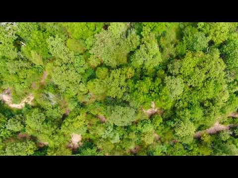 Video Drone CH23 Narrated