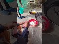 cow ke gobar se manjan ka method