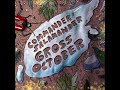 Commander Salamander - Gross October