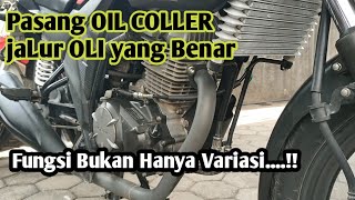 Installing an Oil Cooler for Verza, CRF, and Mega Pro || Want Looks or Performance?