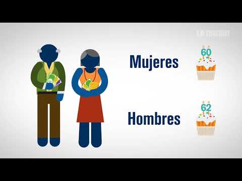 ¿Cómo funciona el