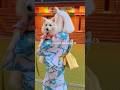 Kinda chic to be a dog mom in Asakusa