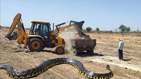 JCB 3dx Backhoe fully Loading Mud in eicher 380 tractor #jcb #jcbvideo #carton #shortytvideo