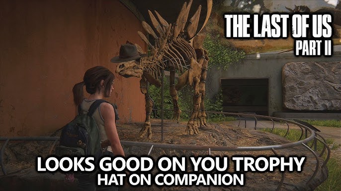 Looks Good On You Trophy Guide (Put a Hat On Your Companion)