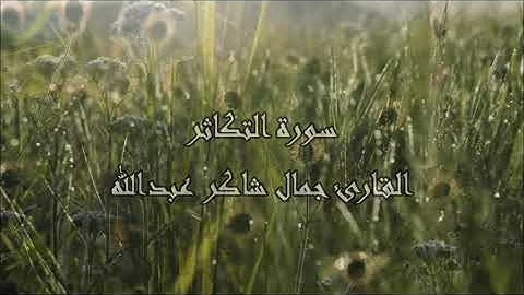 سـورة التكاثر ، القارئ جمال شاكر عبدالله