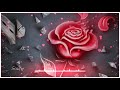 احلى مقطع اغنية عراقية حلات واتس