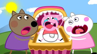 Peppa Pig Baby & Danny Dog & Suzy Sheep Cute Stories - Peppa Pig Funny Animation