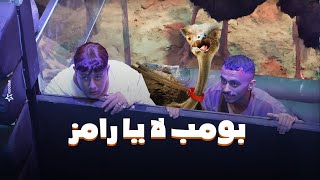 رامز جلال | صريخ حمو بيكا وكزبرة فى مواجهة نعام رامز جاب من الاخر - كزبرة: 