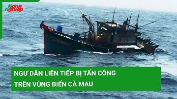 Ngư dân liên tiếp bị tấn công trên vùng biển Cà Mau