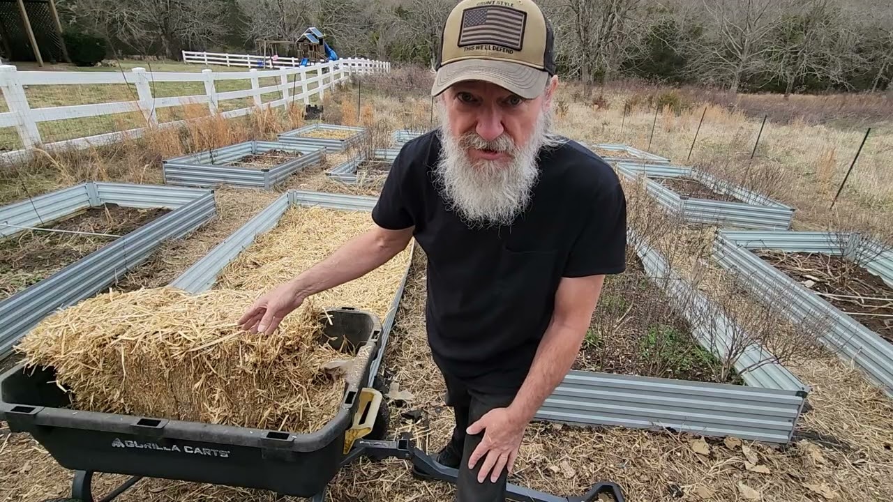 Выращивание растений из соломенных тюков и грядок размером 4x8 квадратных футов на приусадебном у...