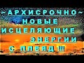 ✔ *АрхиСРОЧНО* «Новые Исцеляющие энергии с ПЛЕЯД !»