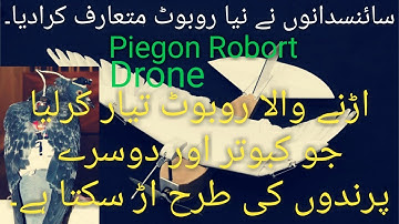 Pigeon Bot Uses Real Feathers To Explore How Birds Fly | Pigeon Drone | Hindi & Urdu