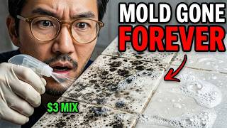 This $3 Mix DESTROYS Mold Forever. Why Is It Banned in Most Cleaning Products?