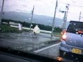 信州松本＠⑬合羽を着て雨の中を自転車で走るおばさん_100715.wmv