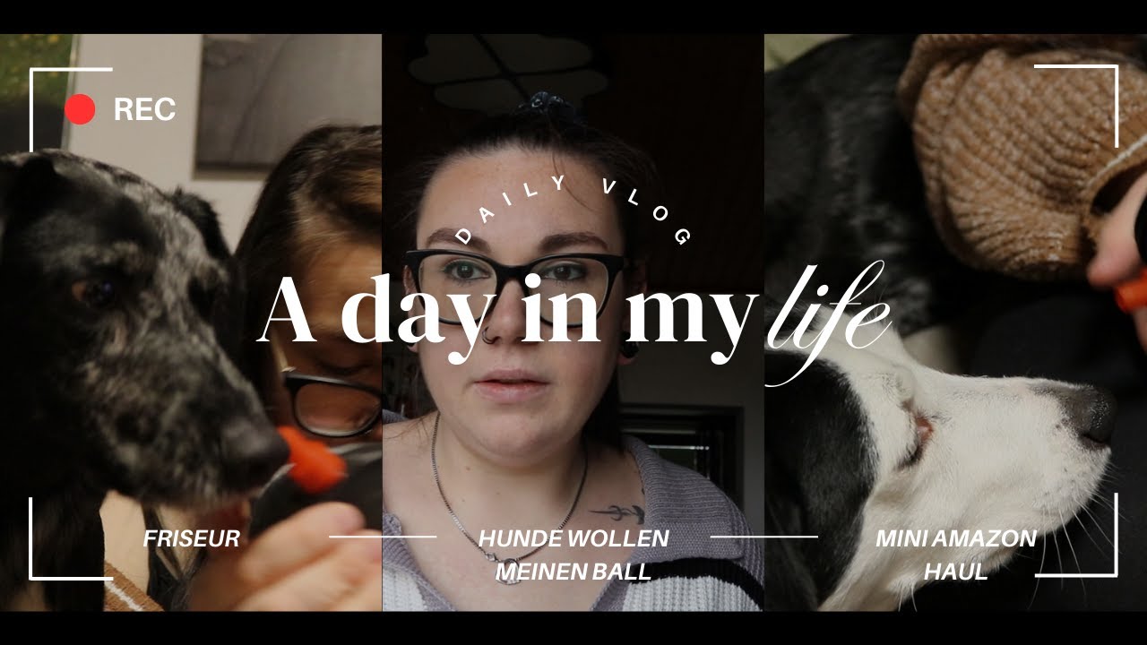 Vlog/Friseur/Hunde wollen meinen Ball/Mini Amazon Haul