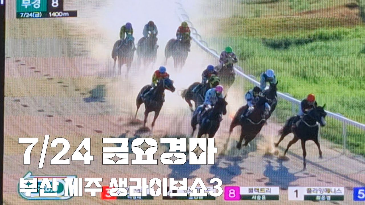 금요경마 마지막판까지 안되네~쩝 (7/24 부산 제주 생라이브쇼 3)