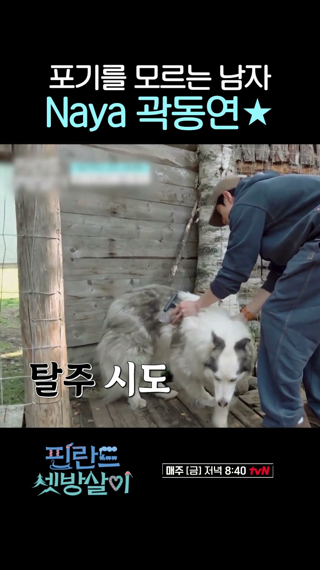 Naya, 프로빗질러 곽동연 #핀란드셋방살이
