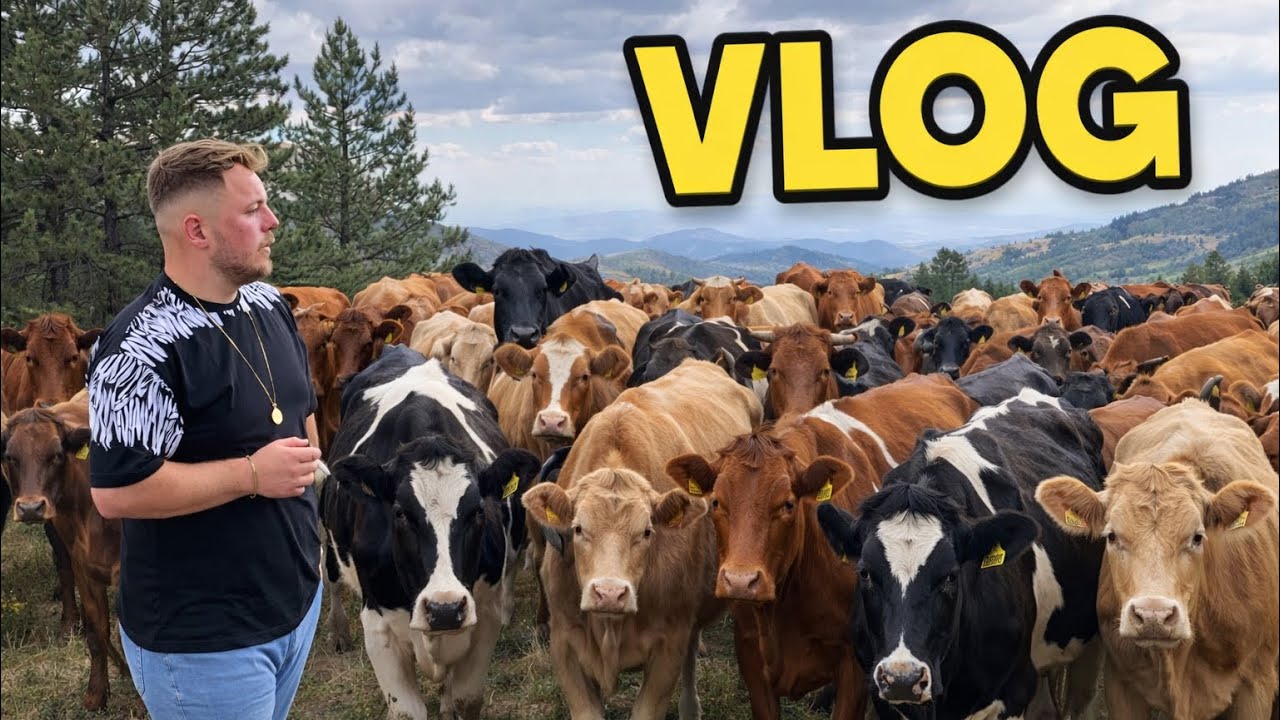 KENDİ İŞİNİN PATRONU OLMAK~HAYVANLARIN BAKIMI 1 SAAT~günlük işler 