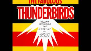 Video thumbnail of "The Fabulous Thunderbirds - C-Boy's Blues"