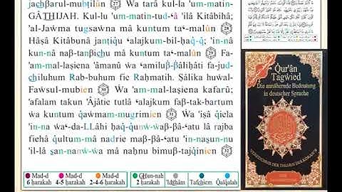ختمة من مصحف التجويد باللغة الألمانية الصفحة رقم 501