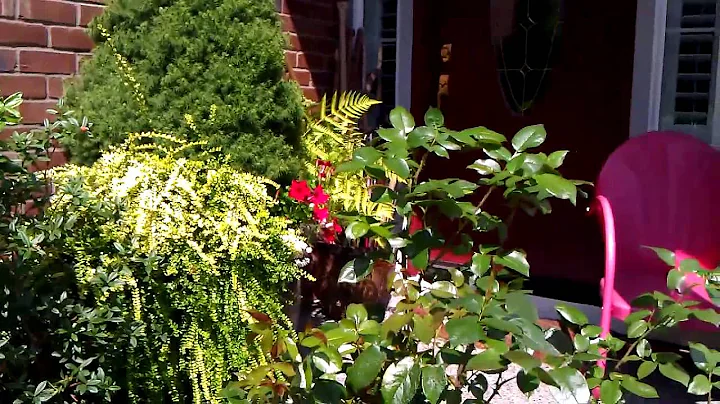 Trilogy Garden Club Tour Suzanne Kalish July 2013