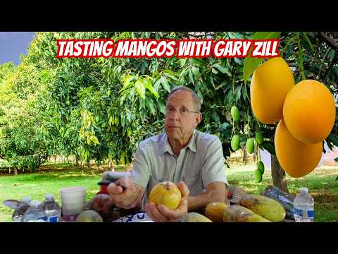 Tasting Mangos WIth Gary Zill